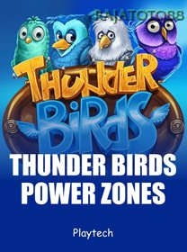 Power Zones Thunder Birds
