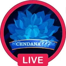 Cara Pasang cendana777 di HP Android dengan Benar